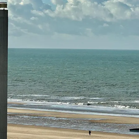 Le Grimaldi 公寓 奥斯滕德